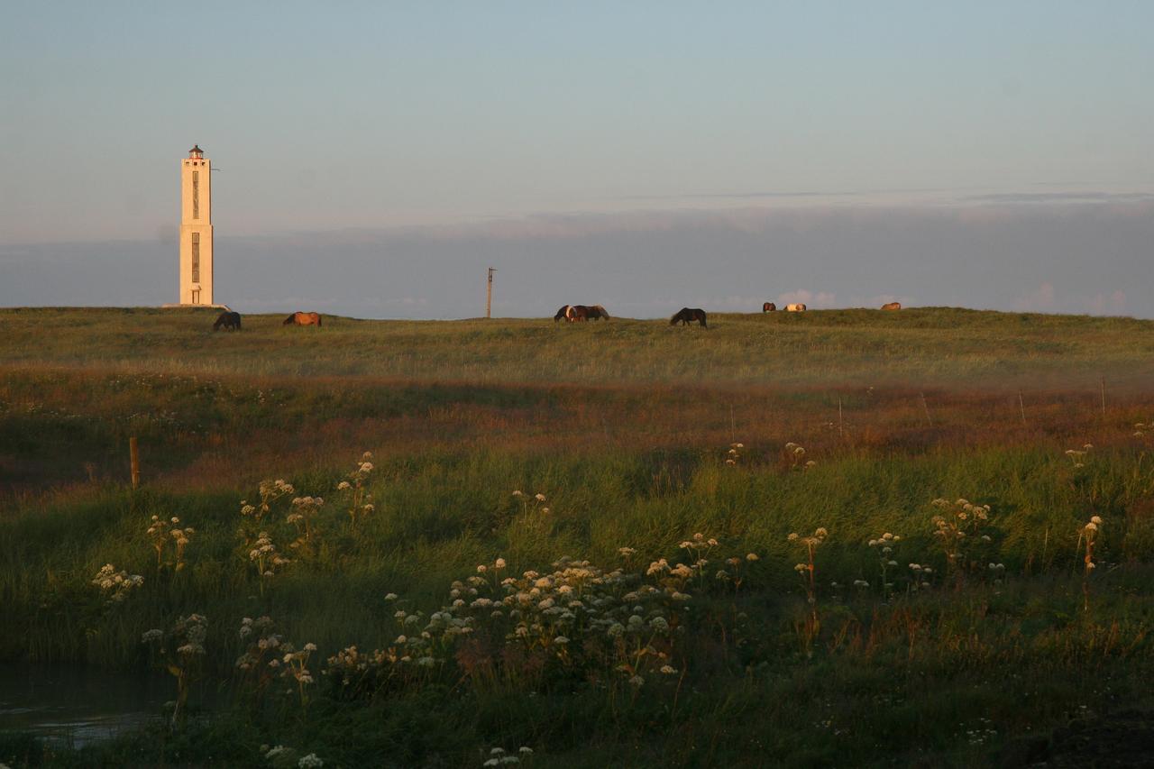 Art Hostel And Apartments Stokkseyri Exteriör bild